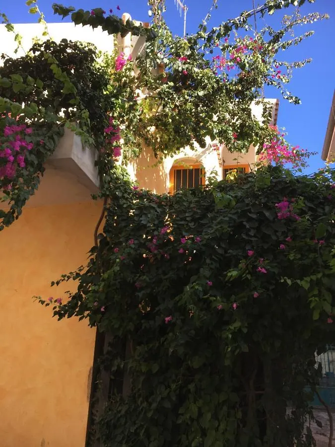 Apartment Casa Arborea Orosei